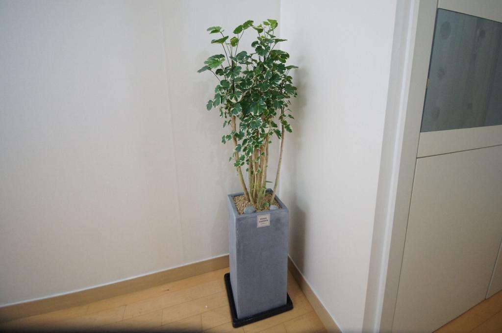 Enjoy Budget Apartment In Gangnam 2 Seoul Exteriör bild